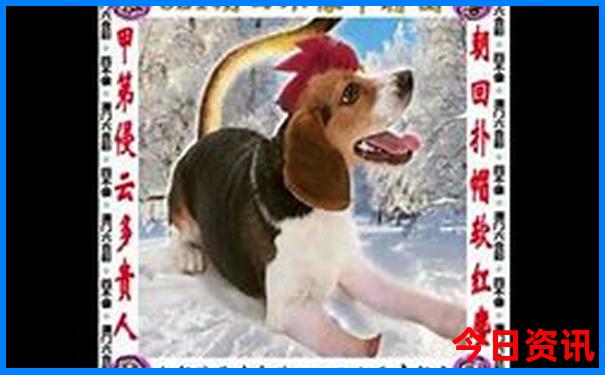 旅游团app排行榜前十名