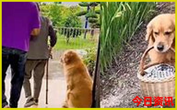 深圳暑假适合带孩子游玩的地方